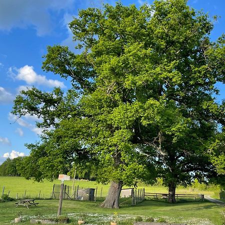 Masoe Des Chatards Neuilly-le-Réal Dış mekan fotoğraf